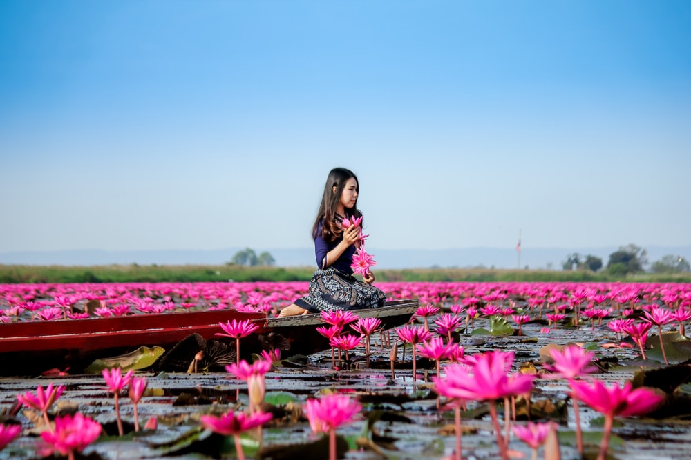 หญิงสาวนั่งอยู่บนเรือในทะเลสาบที่เต็มไปด้วยดอกบัวสีชมพู