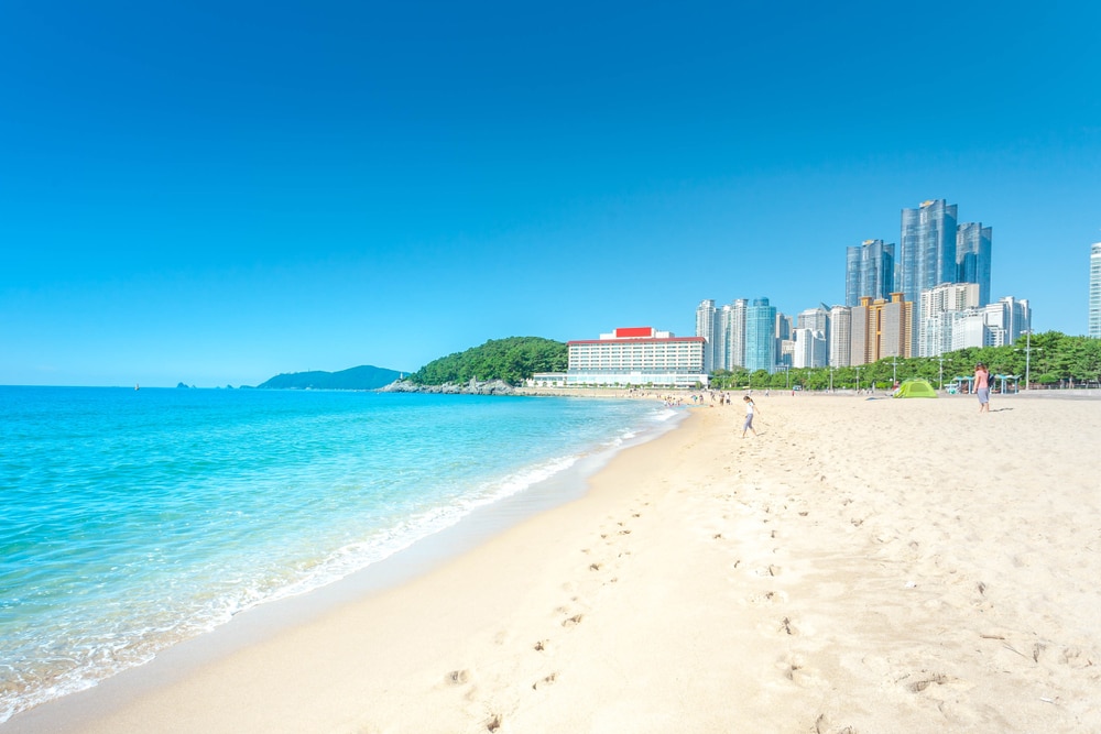 ที่ เที่ยวเกาหลี : ชายหาดที่มีตึกและหาดทรายในวันที่แดดจ้าในเกาหลี
