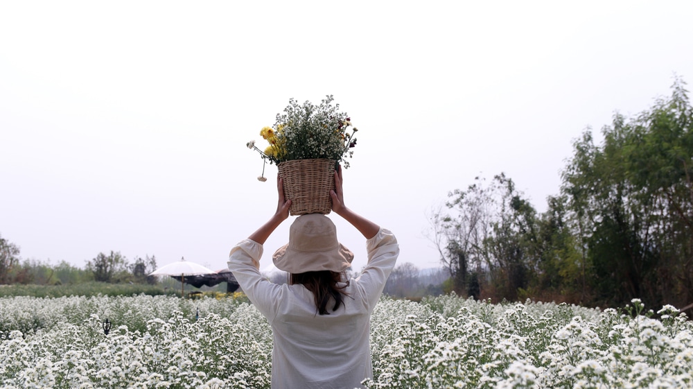 ผู้หญิงถือตะกร้าดอกไม้ในทุ่ง ที่เที่ยวอุดร