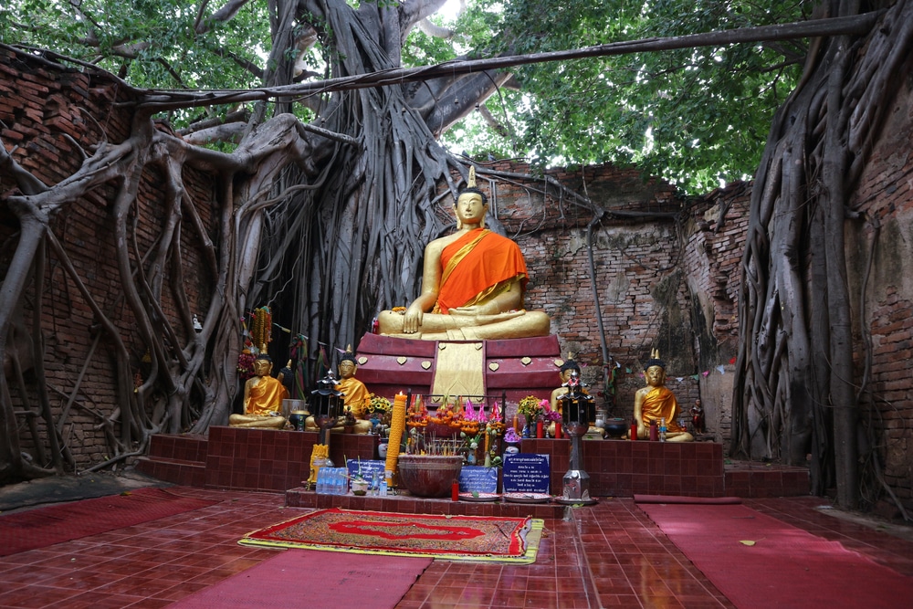 พระพุทธรูปนั่งอยู่ใต้ต้นไม้ เที่ยวสิงห์บุรี