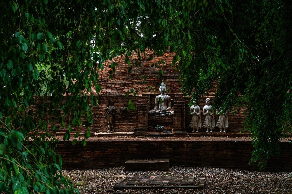 พระอุโบสถที่มีพระพุทธชินราชอยู่ใต้ต้นไม้ พระพุทธชินราช