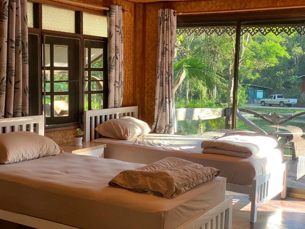 เตียงสองเตียงในรีสอร์ทที่มีผนังไม้ ที่พักวังน้ำเขียว