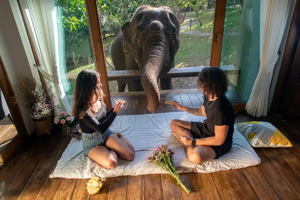 คู่รักนั่งข้างช้างในพิพิธภัณฑ์บางเสร่ในชลบุรีที่เที่ยว ที่พักบนดอยเชียงใหม่ราคาถูก
