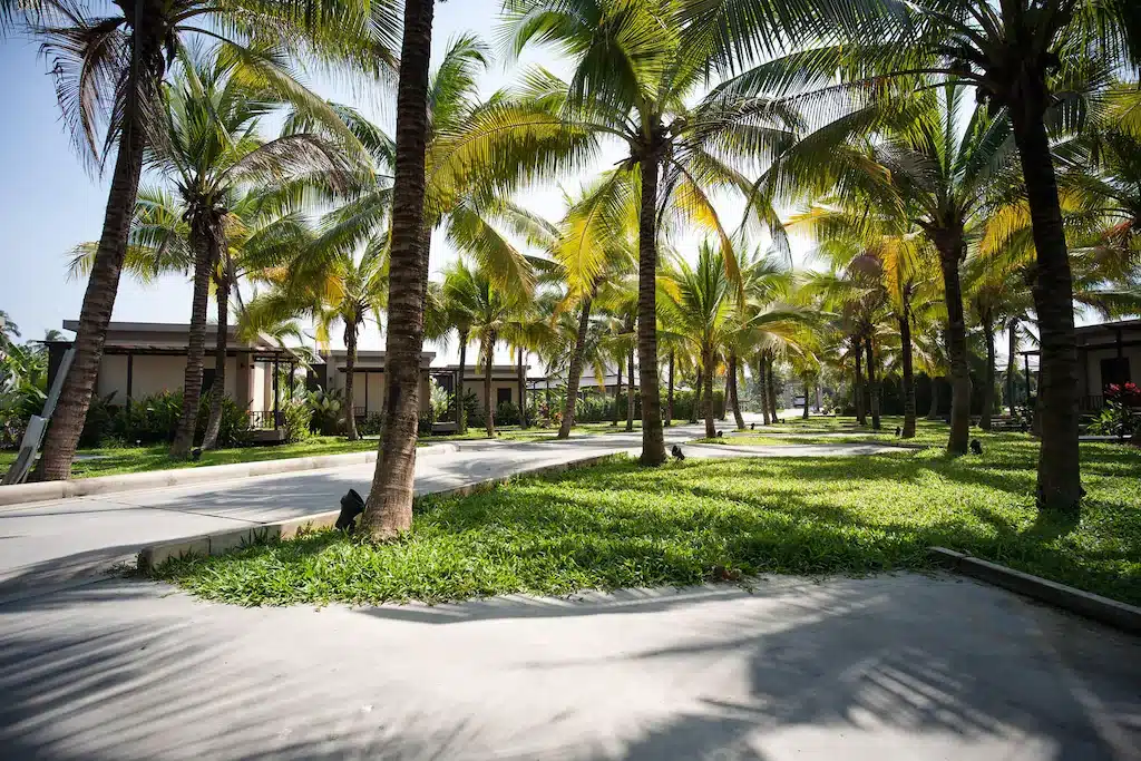 ทางเดินที่เรียงรายไปด้วยต้นปาล์มในสวนอันเงียบสงบใกล้กับสงครามสมุทรและโรงแรม ที่พักสมุทรสงคราม