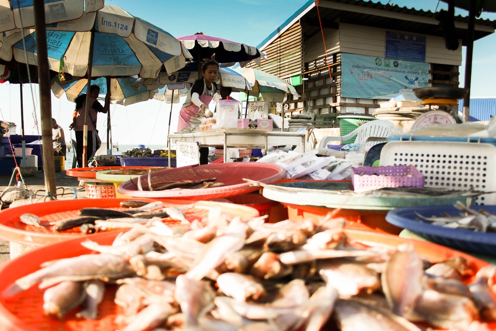 กลุ่มคนในตลาดปลาในราชบุรีที่เที่ยว บางแสน