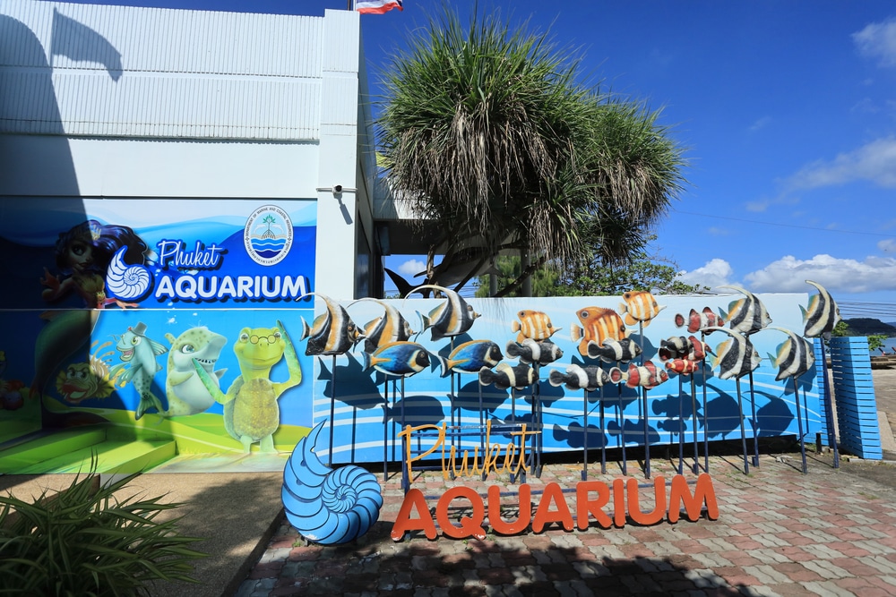 อาคารสีฟ้าที่มีต้นปาล์มและพิพิธภัณฑ์สัตว์น้ำอยู่ด้านหน้า อควาเรียม