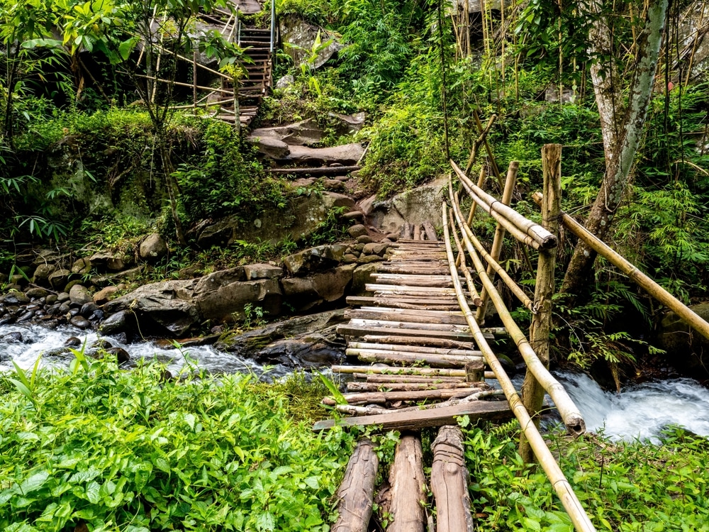 สะพานไม้ข้ามลำธารในป่ากับ ภูสอยดาว