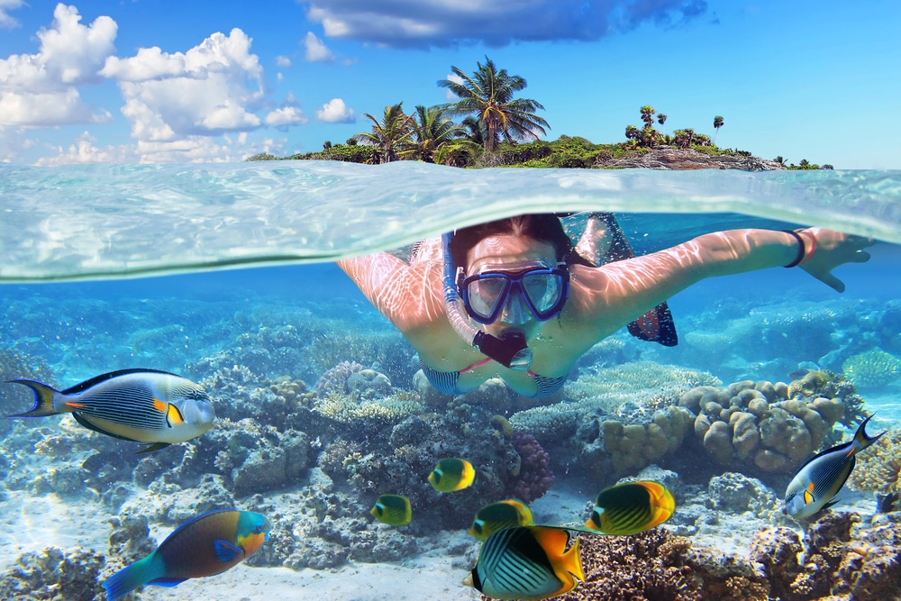 ผู้หญิงคนหนึ่งกำลังดำน้ำดูปะการังในมหาสมุทร เพลิดเพลินกับวันหยุดอันแสนสดชื่น  ที่เที่ยวหน้าร้อน