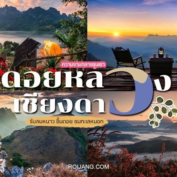 ชุดภาพคำว่า cako thailand และดอยเชียงดาว