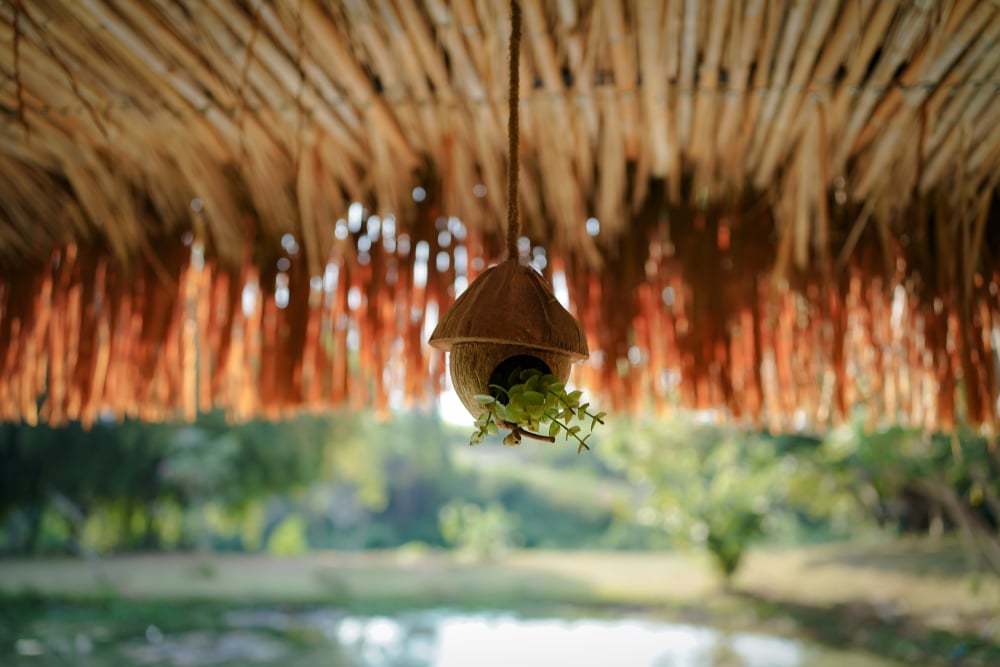 บ้านนกไม้พร้อมต้นไม้ห้อยอยู่ในราชบุรีที่เที่ยว (ราชบุรี) ที่เที่ยวราชบุรีสวนผึ้ง