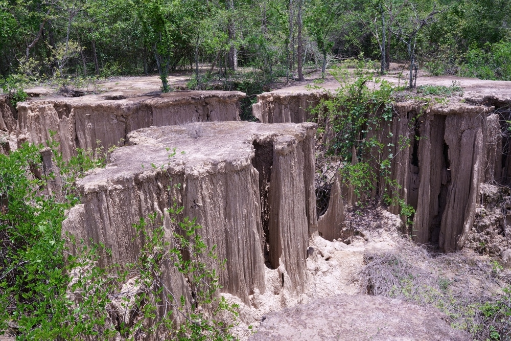 กลุ่มหินทรายก่อตัวกลางพื้นที่ป่า ตั้งอยู่ในราชบุรีที่เที่ยว ที่เที่ยวสวนผึ้ง