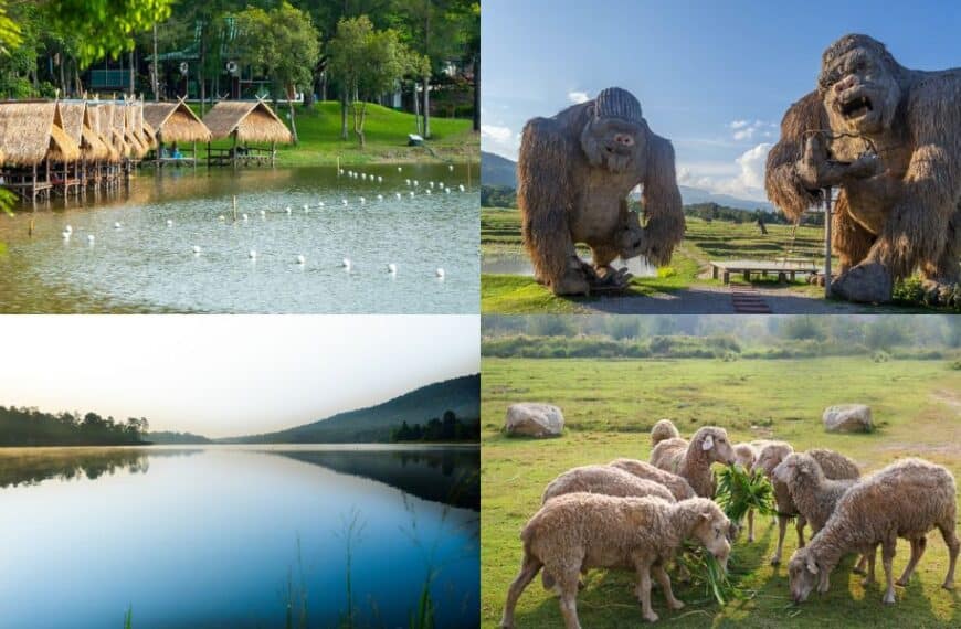 ภาพต่อกันที่มีทะเลสาบ กอริลลา และภาพจากสวนสัตว์ที่ตั้งอยู่ใกล้ผืนน้ำอันเงียบสงบของอ่างเก็บน้ำห้วยต