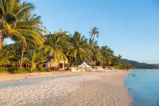 ชายหาดที่มีต้นปาล์มและรีสอร์ทเกาะช้าง  โรงแรมเกาะช้าง