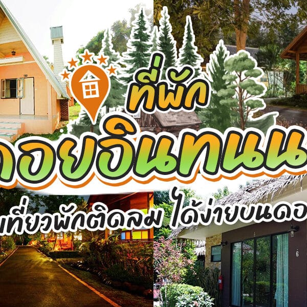 15 ที่พักดอยอินทนนท์ 2025 ฟีลดีรับปีใหม่ [สิงหาคม 2025]