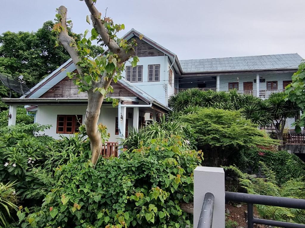 บ้านล้อมรอบด้วยแมกไม้เขียวขจีในราชบุรีที่เที่ยว ที่พักเกาะสีชัง