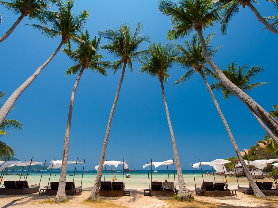 ชายหาดที่มีต้นปาล์มและเก้าอี้นั่งเล่นในราชบุรีที่เที่ยว ที่พักเกาะเต่า