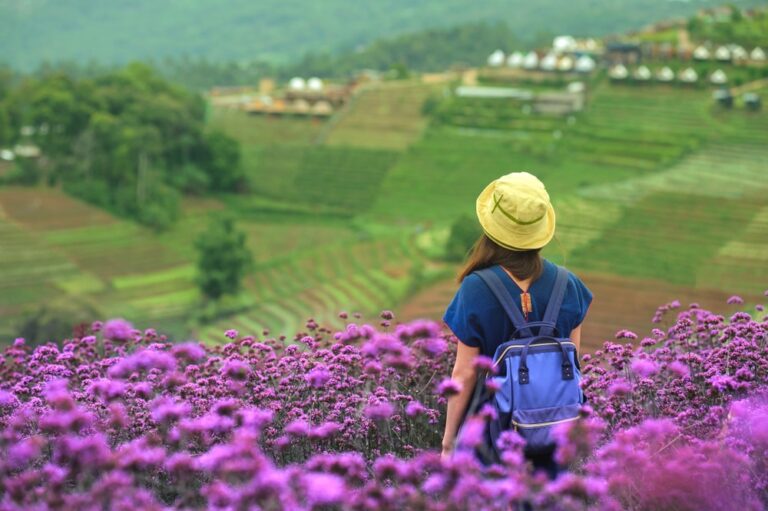 บุคคลหนึ่งสวมหมวกสีเหลืองและสะพายกระเป๋าเป้สีน้ำเงินยืนอยู่ในทุ่งดอกไม้สีม่วง มองเห็นเนินเขาขั้นบันไดและอาคารที่อยู่ไกลออกไปที่ ม่อนแจ่มที่เที่ยว สถานที่อันงดงามเหมาะสำหรับผู้ที่รักธรรมชาติ.