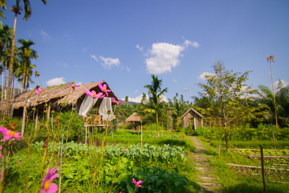 กระท่อมเล็กๆ ในภาษาไทยเรียกว่า "บ้านไร่ไออรุณ"  บ้านไร่ไออรุณ ตั้งอยู่ในสวนอันเงียบสงบและมีชีวิตชีวา