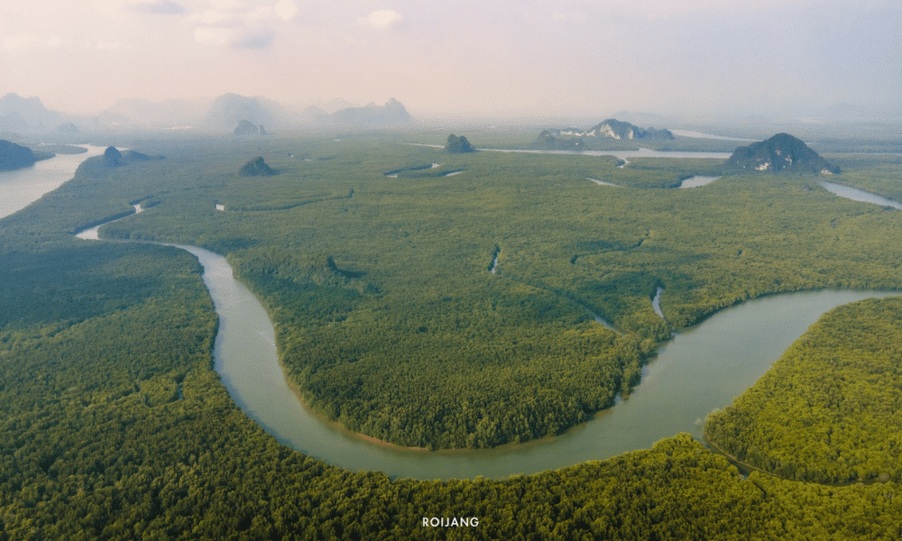 มุมมองทางอากาศของแม่น้ำและต้นไม้เผยให้เห็นความงดงามของราชบุรีที่เที่ยว เสม็ดนางชี