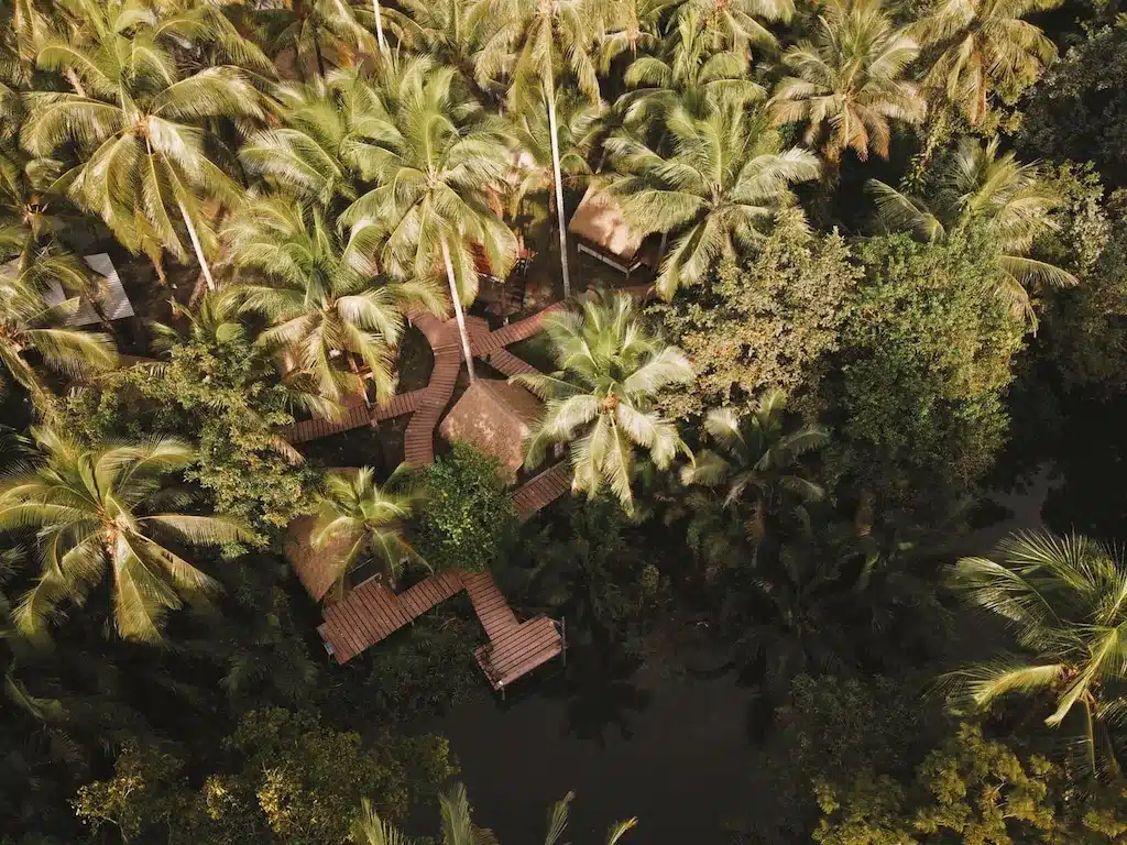 ราชบุรีที่เที่ยว กระท่อมชมวิวทางอากาศที่รายล้อมไปด้วยต้นปาล์ม โรงแรมเกาะกูด