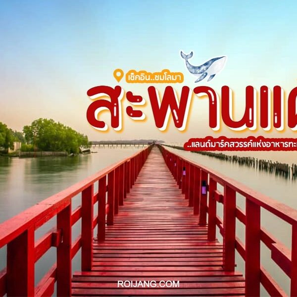 สะพานแดง 2024 ชมวิวโลมาสมุทรสาคร [ตุลาคม 2024]