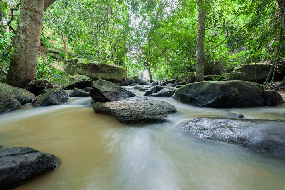 ป่าที่มีโขดหินและต้นไม้ ลัดเลาะไปตามแม่น้ำ ที่เที่ยวขอนแก่นธรรมชาติ