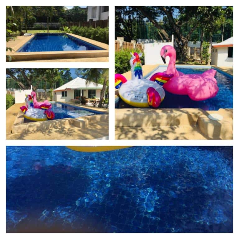 เที่ยวเพชรบุรี ปะติดภาพสระว่ายน้ำกับนกฟลามิงโกสีชมพู pool villa หัวหิน