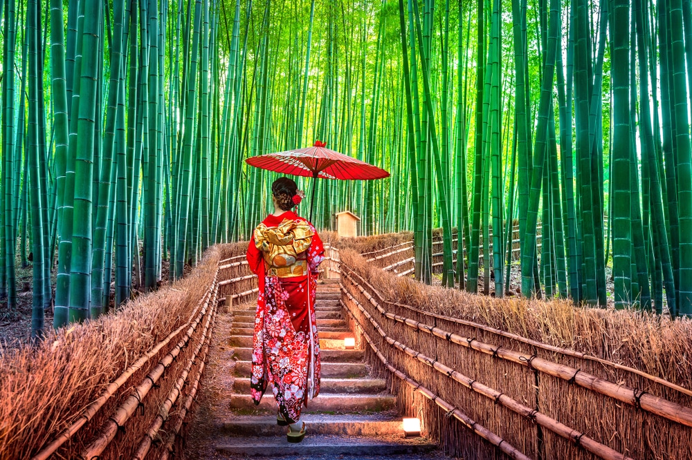 ผู้หญิงในชุดกิโมโนกำลังเดินเล่นอยู่ในป่าไผ่ ที่เที่ยวญี่ปุ่น