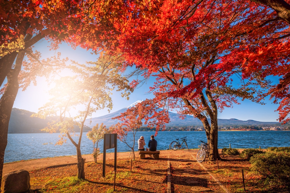 คู่รักนั่งอยู่บนม้านั่งใต้ต้นไม้ริมทะเลสาบที่เที่ยว เที่ยวญี่ปุ่นด้วยตัวเอง
