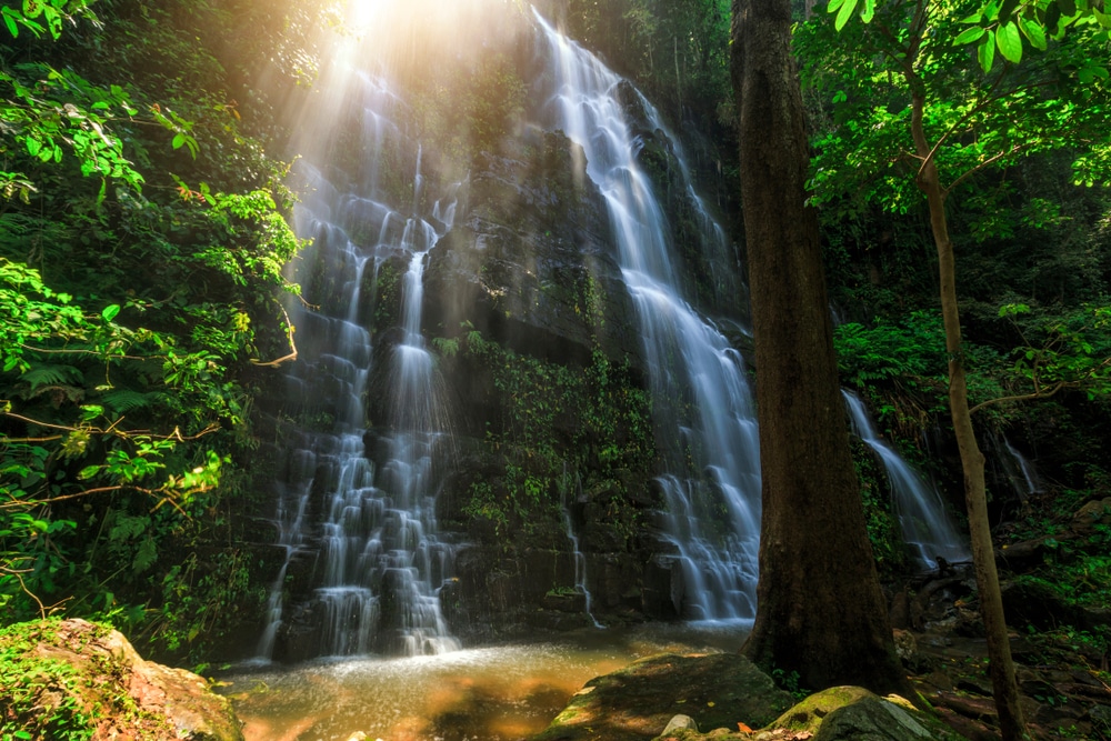 น้ำตกในป่าที่มีแสงแดดส่องผ่านต้นไม้เหมาะแก่สถานที่ท่องเที่ยวชลบุรี ที่เที่ยวสระแก้ว