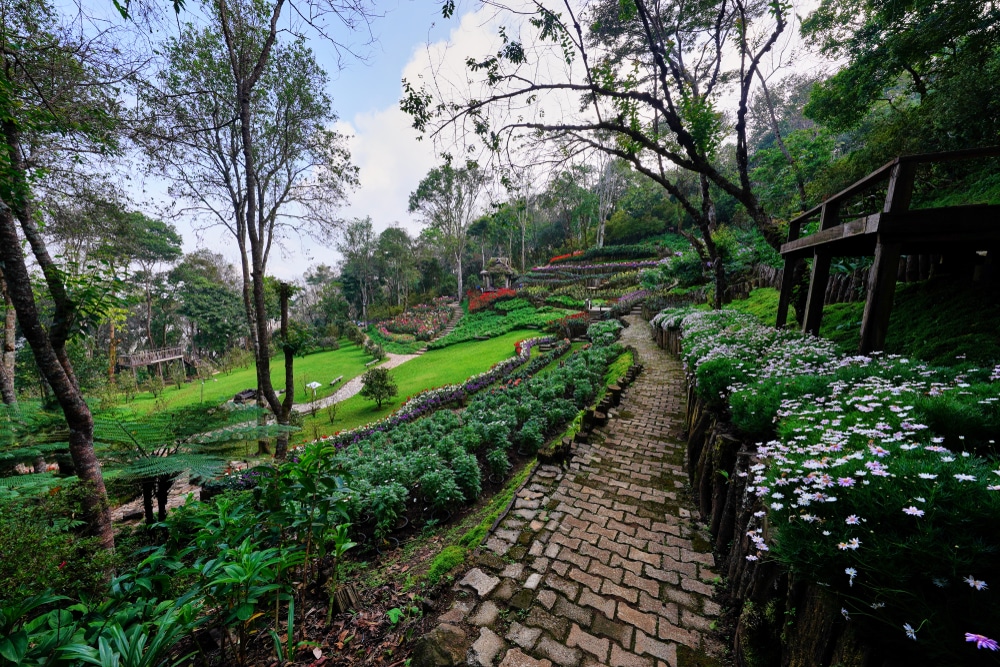 ทางเดินสู่สวนกลางป่าในจังหวัดราชบุรีสถานที่ท่องเที่ยว ที่เที่ยวเชียงของ ที่เที่ยวเชียงของ