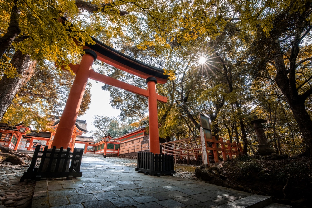 ประตูโทริอิสี เที่ยวญี่ปุ่น แดงที่ตั้งอยู่ใจกลางป่าอันเขียวชอุ่ม