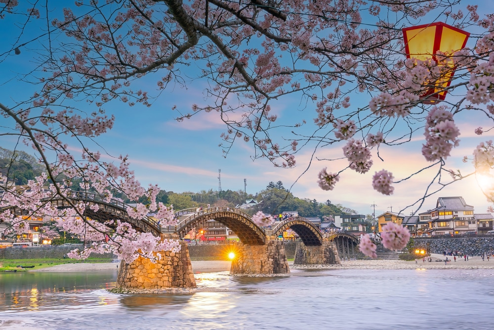 สะพานข้ามน้ำที่รายล้อมไปด้วยดอกไม้สีชมพูสดใส เหมาะแก่การเที่ยวชมในจังหวัดราชบุรี เที่ยวญี่ปุ่นด้วยตัวเอง
