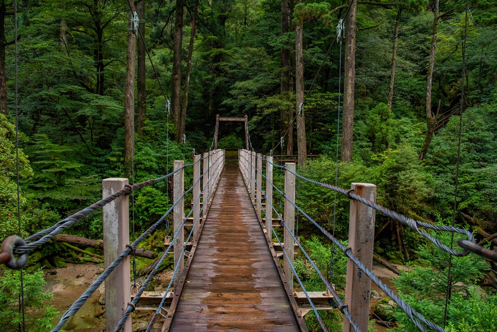 สะพานแขวนกลางป่า เหมาะสำหรับผู้ที่รักธรรมชาติและนักผจญภัย เที่ยวญี่ปุ่น