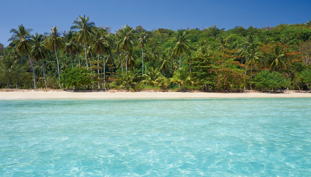ชายหาดที่มีต้นปาล์มและน้ำทะเลใส ตั้งอยู่บนถนนคนเดินเชียงคาน เกาะพีพี