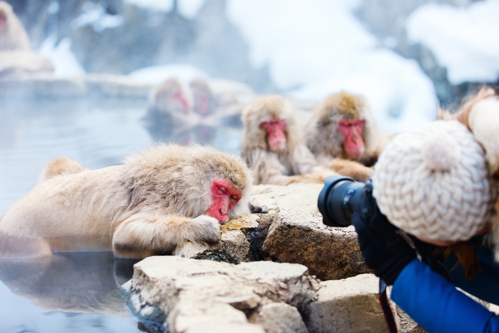 หญิงสาวกำลังถ่ายรูปลิงหิมะในบ่อน้ำพุร้อนที่ราชบุรี เที่ยวญี่ปุ่น