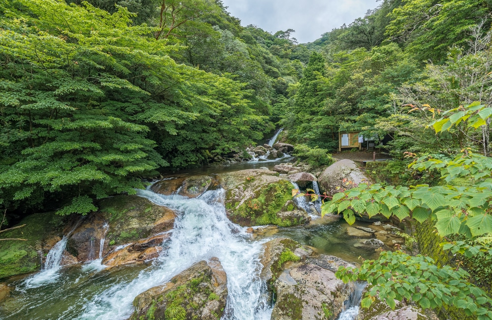 น้ำตกใจกลางป่าเขียวขจีเหมาะสำหรับนักท่องเที่ยวที่ต้องการเที่ยวราชบุรี เที่ยวญี่ปุ่น