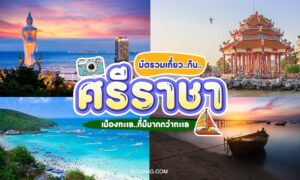 ภาพตัดปะของ ศรีราชาที่เที่ยว แสดงหาดทราย, พระพุทธรูปขนาดใหญ่, ศาลเจ้า, และเรือบนน้ำ, พร้อมข้อความภาษาไทยที่ส่งเสริมการท่องเที่ยวในศรีราชา.