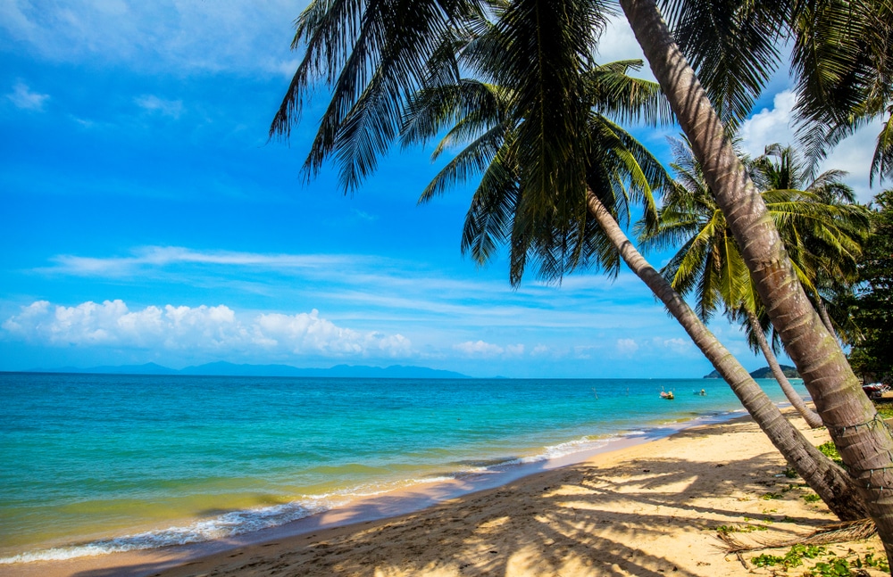 ชายหาดเขตร้อนที่มีต้นปาล์มและท้องฟ้าสีฟ้าใส เที่ยวเกาะสมุย