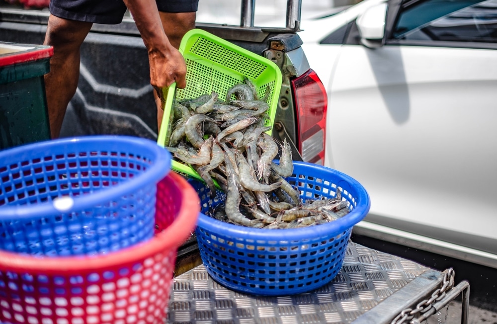 คนขนปลาสดจากตะกร้าสีเขียวไปใส่ปลาสีน้ำเงินที่ ตลาดบ้านเพ