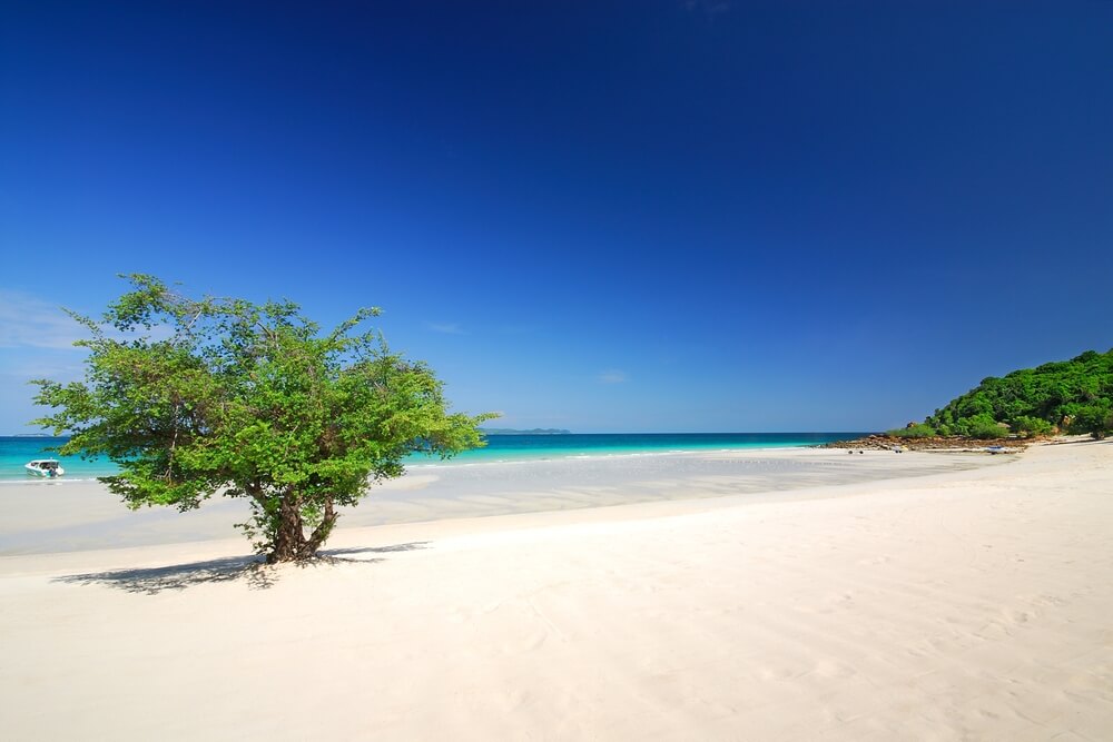 ต้นไม้ต้นเดียวบนหาดทรายขาว ทะเลชลบุรี