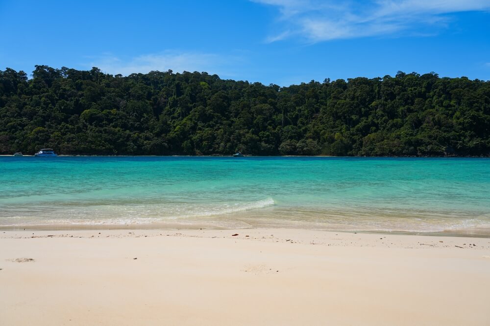 เกาะที่มีน้ำทะเลสีฟ้าใสและมีต้นไม้เป็นฉากหลัง เกาะกระบี่ ที่เที่ยวเดือนพฤศจิกายน