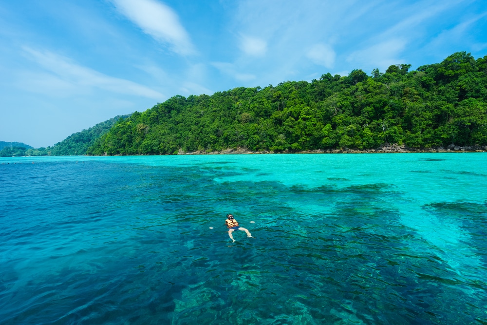 คนกำลังลอยอยู่ในน้ำสีฟ้าใสใกล้เกาะเขตร้อนที่มีพืชพรรณเขียวชอุ่มในพังงาที่เที่ยว
