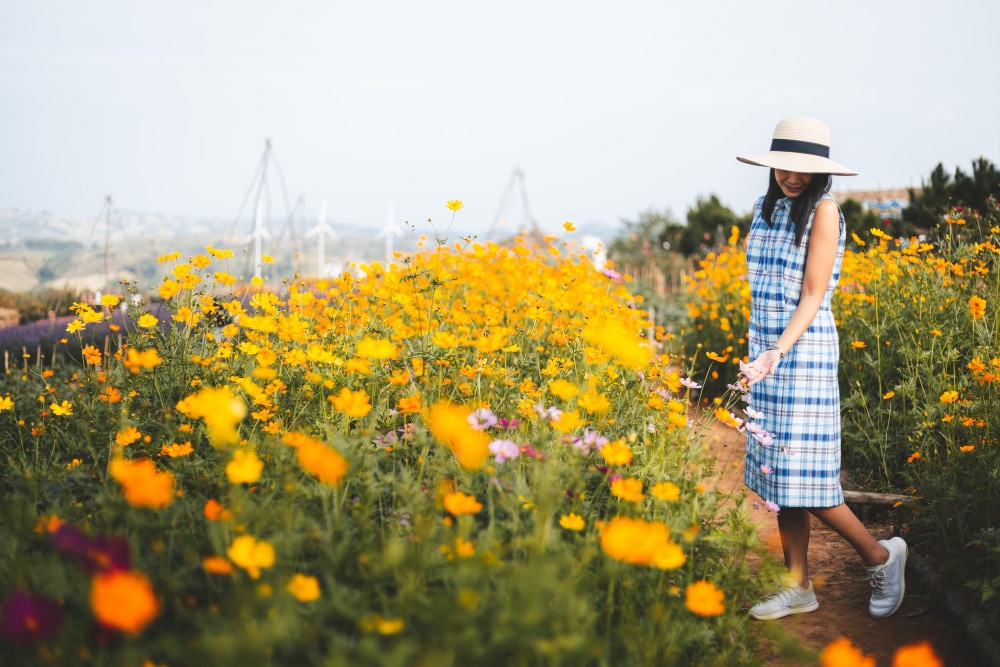ผู้หญิงสวมหมวกกันแดดกำลังเดินผ่านทุ่งดอกไม้ป่า ซึ่งเป็นฉากอันงดงามสำหรับเที่ยวที่โน่น ที่เที่ยวเดือนพฤศจิกายน