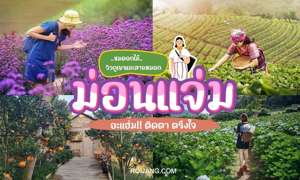 ภาพต่อกันสามภาพแสดงผู้หญิงทำงานในทุ่งนาเกษตรกรรม คนหนึ่งเก็บลาเวนเดอร์ อีกคนดูแลสวน อีกคนเก็บเกี่ยวในทุ่งชา ที่เที่ยวเดือนธันวาคม โดยมีข้อความภาษาไทยโปรโมตเว็บไซต์สถานที่ท่องเที่ยว