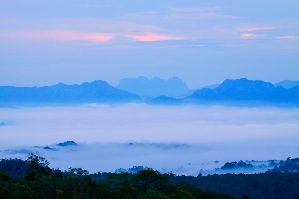 ภูมิทัศน์หมอกยามเช้ามีหมอกปกคลุมป่าและเงาภูเขาหลายชั้นใต้ท้องฟ้าสีชมพูฟ้าใกล้ ดอยหัวหมด