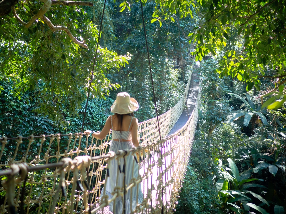 คนใส่หมวกฟางกำลังเดินข้ามสะพานเชือกในป่าเขียวชอุ่ม ที่เที่ยวเวียนนา ที่เที่ยวเดือนกรกฎาคม