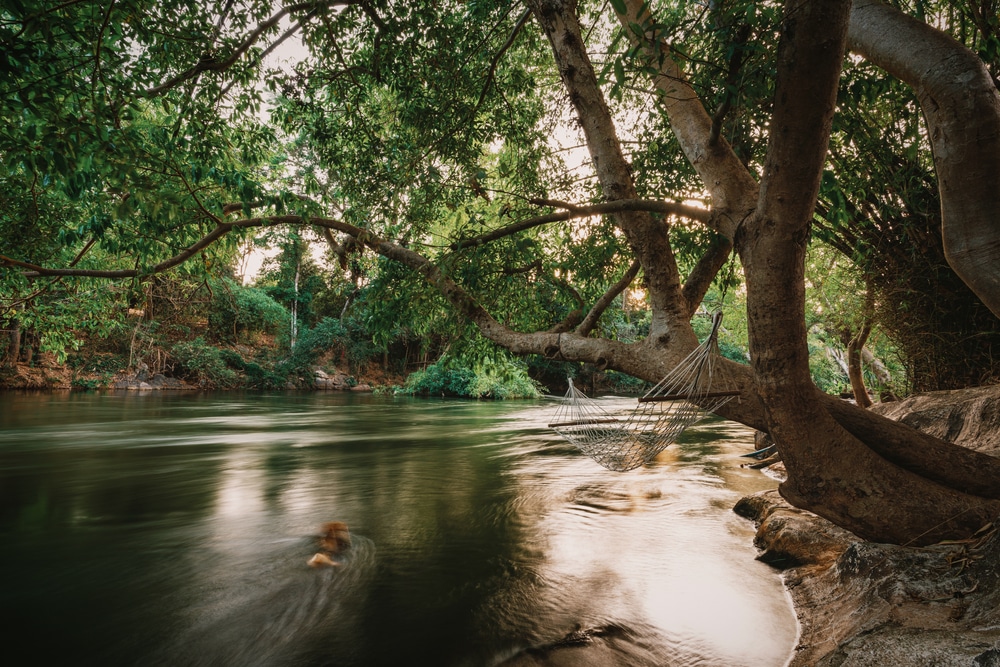 ที่เที่ยวเดือนพฤษภาคม ฉากริมแม่น้ำอันเงียบสงบในเดือนพฤษภาคมที่มีต้นไม้ใหญ่โน้มตัวอยู่เหนือน้ำที่ไหลเอื่อยๆ