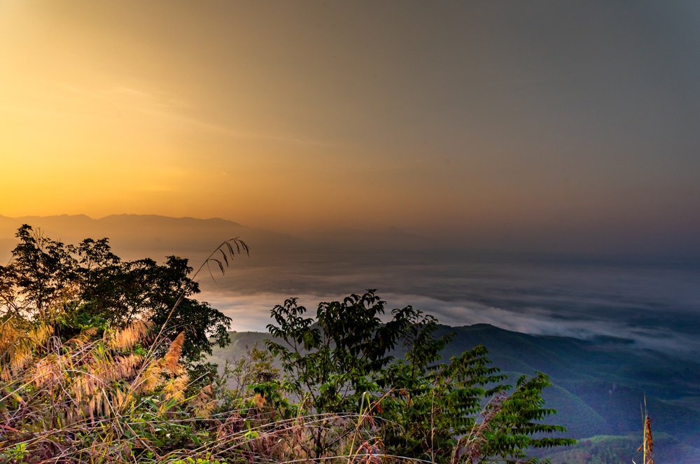 พระอาทิตย์ขึ้นเหนือภูมิทัศน์ทะเลหมอกด้วยพื้นหญ้าและทิวทัศน์อันห่างไกลของภูเขาที่เรียงเป็นชั้น ๆ ใต้ท้องฟ้าสีส้ม แนะนำ จุดชมวิว ทะเลหมอก ประเทศไทยสุดว๊าววว ทะเลหมอกยามเช้า อากาศดี บรรยากา