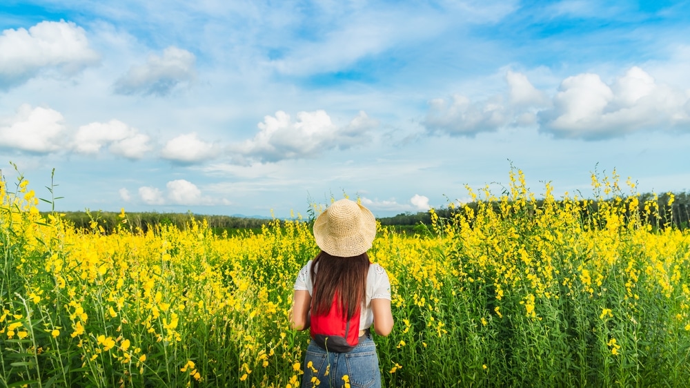ผู้หญิงสวมหมวกฟางยืนอยู่ในทุ่งดอกไม้สีเหลืองในวันที่สดใส เหมาะที่เที่ยวเดือนพฤษภาค ที่เที่ยวเดือนพฤษภาคม